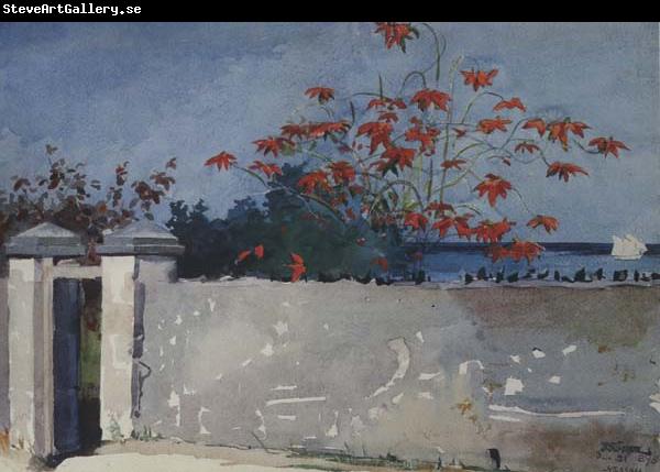Winslow Homer A Wall,Nassau (mk44)